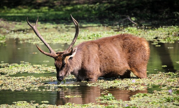 Van Vihar National Park